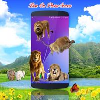 Lion on screen | Prank app Affiche