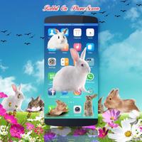 Rabbits on screen | Prank app Affiche