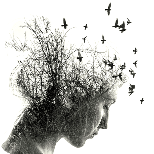 BlendMe : Double Exposure APK  for Android – Download BlendMe : Double  Exposure APK Latest Version from 