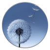 Touchwhiz Apex/Nova Theme APK