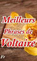 Les Phrases de Voltaire !! Affiche