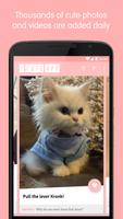 The Cute App - Dogs & Cats Plakat