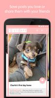 The Cute App - Dogs & Cats Screenshot 1
