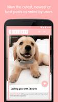 The Cute App - Dogs & Cats Screenshot 2