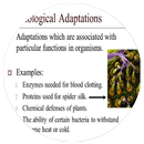 Physiological Adaptation Examples APK