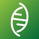 GIFS APK