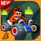 Crash Crazy Adventure icon