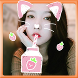 Cat Face Selfie Camera