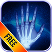 X-Ray Video APK