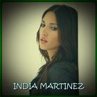 India Martinez Gris icône