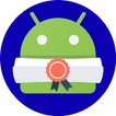 Android Cyber Challenge
