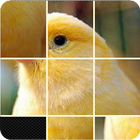 Pictures Puzzle Best Game ไอคอน