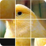 Pictures Puzzle Best Game আইকন