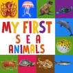 Learn about Sea Animals