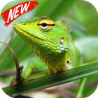 Lizard ikona