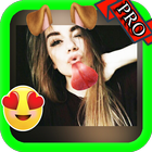 Picture Collage Maker Editor icône