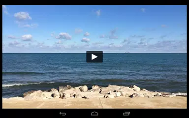 Picturelife: Cloud Backup Sync APK Herunterladen