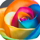 rose images APK