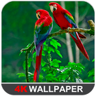 Bird Wallpaper-icoon