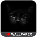 Black Wallpaper, AMOLED, Dark Background (4K) APK