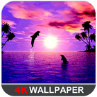 Dolphin Wallpapers 图标