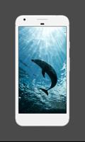 Dolphin Wallpapers ภาพหน้าจอ 2