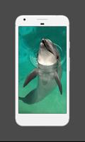 Dolphin Wallpapers ภาพหน้าจอ 3