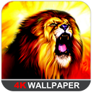 Lion Wallpaper APK