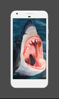Shark Wallpaper capture d'écran 3