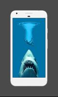 Shark Wallpaper Affiche