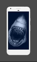 Shark Wallpaper capture d'écran 1
