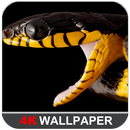 Snake Wallpapers APK