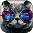 Hipster Wallpapers APK