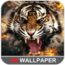 3D Wallpapers (4K) APK