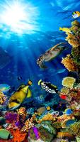 Aquarium Wallpaper HD Free Affiche