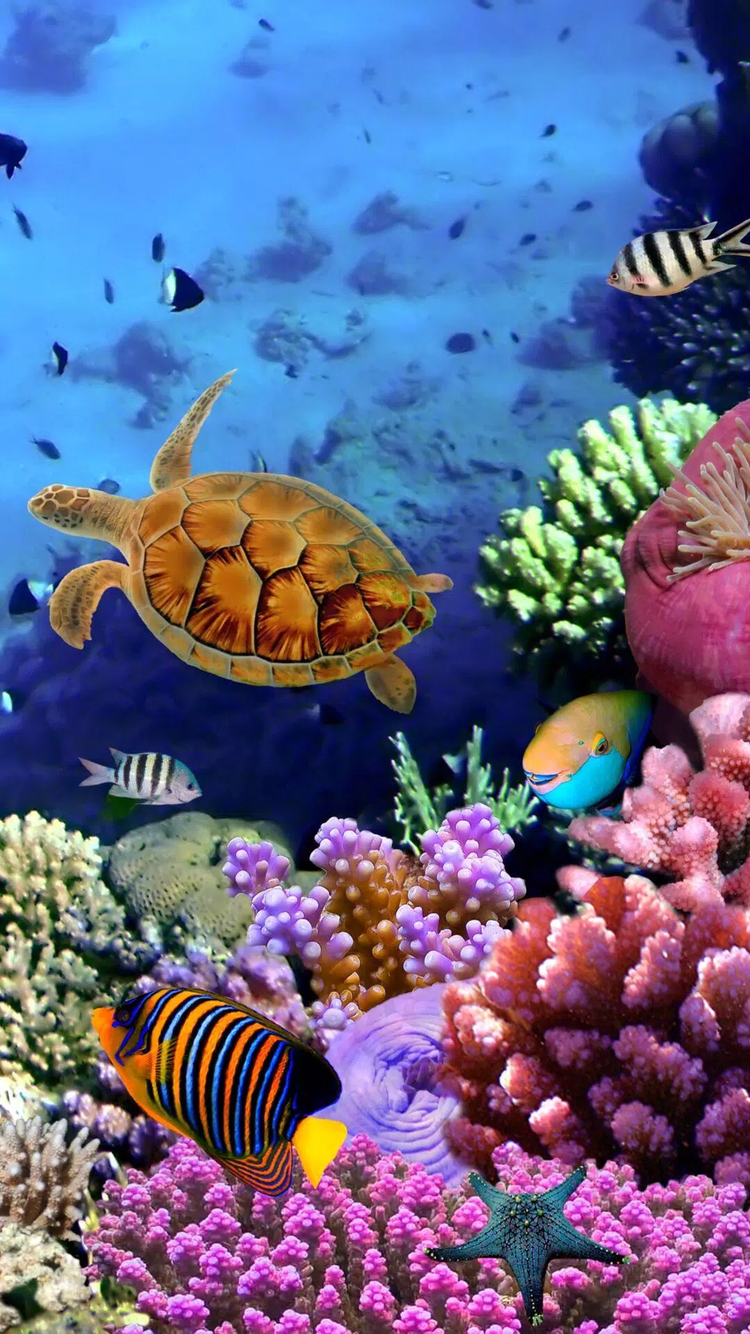 Aquarium Wallpaper HD Free APK per Android Download