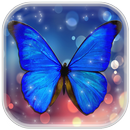 APK Farfalla Sfondi