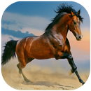 Horse Wallpapers APK