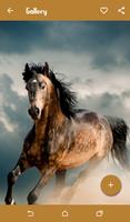 Horse Wallpapers Affiche