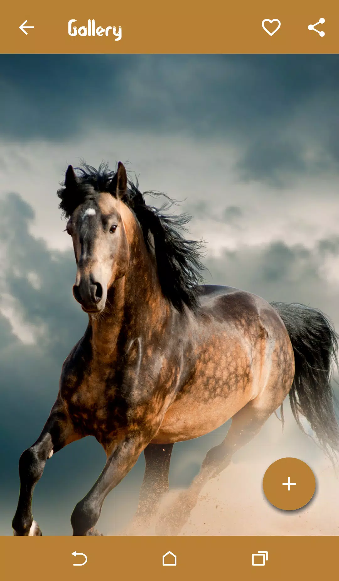 Horse Wallpapers APK for Android Download