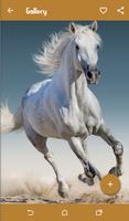 Horse Wallpapers اسکرین شاٹ 1