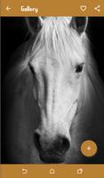 Horse Wallpapers اسکرین شاٹ 3