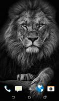 Lion Wallpaper screenshot 3