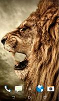 Lion Wallpaper screenshot 2