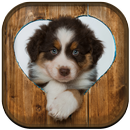 Cute Puppy Wallpaper APK