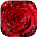 Rose Wallpaper APK