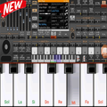 Electronic ORG 2019 - Piano 2019