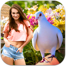 Pigeon Photo Frames APK