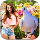 Pigeon Photo Frames-icoon