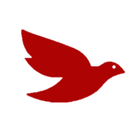 PigeonEU - Polonia w zasięgu biểu tượng